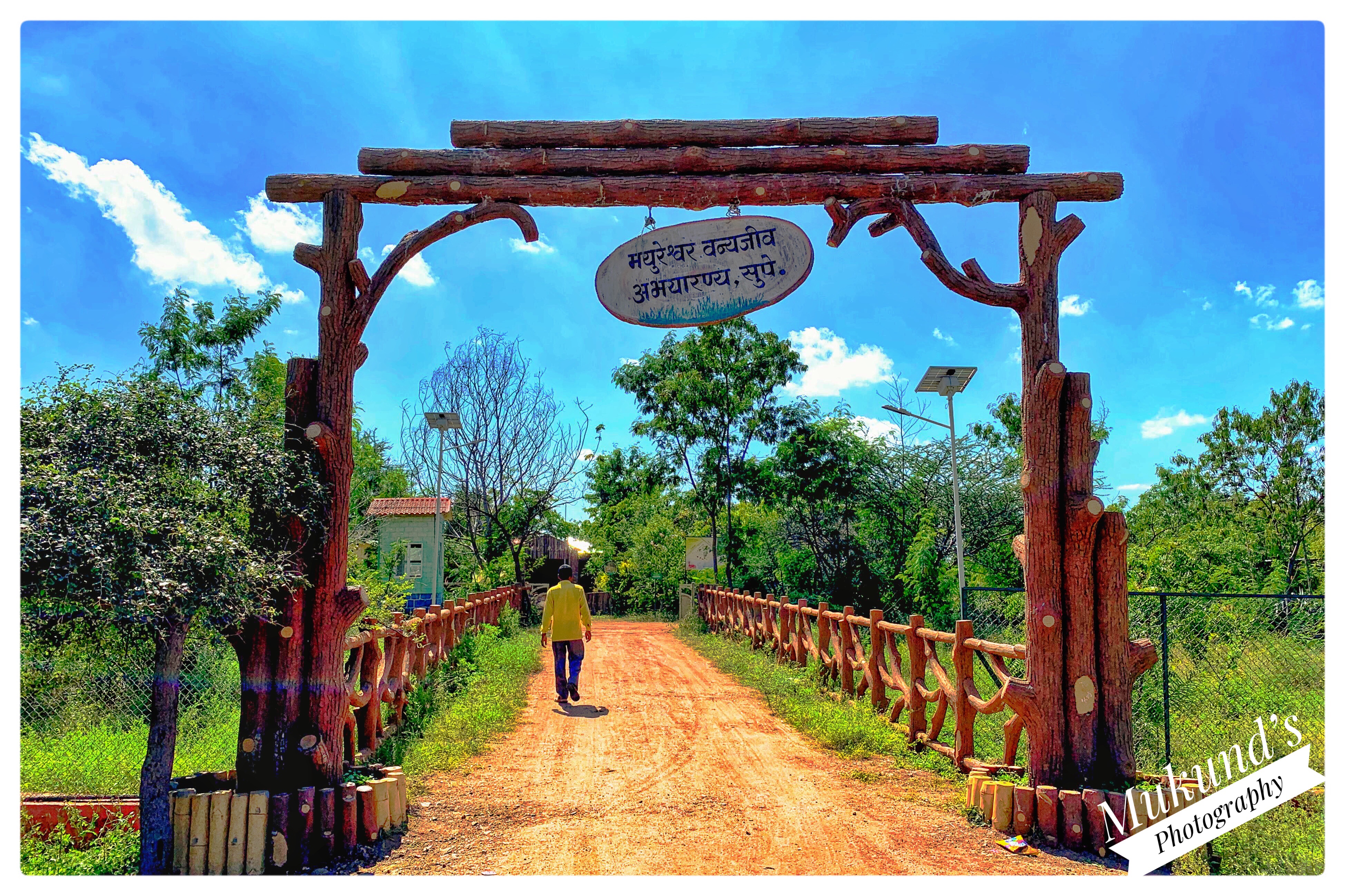 Mayureshwar Wildlife Santuary 